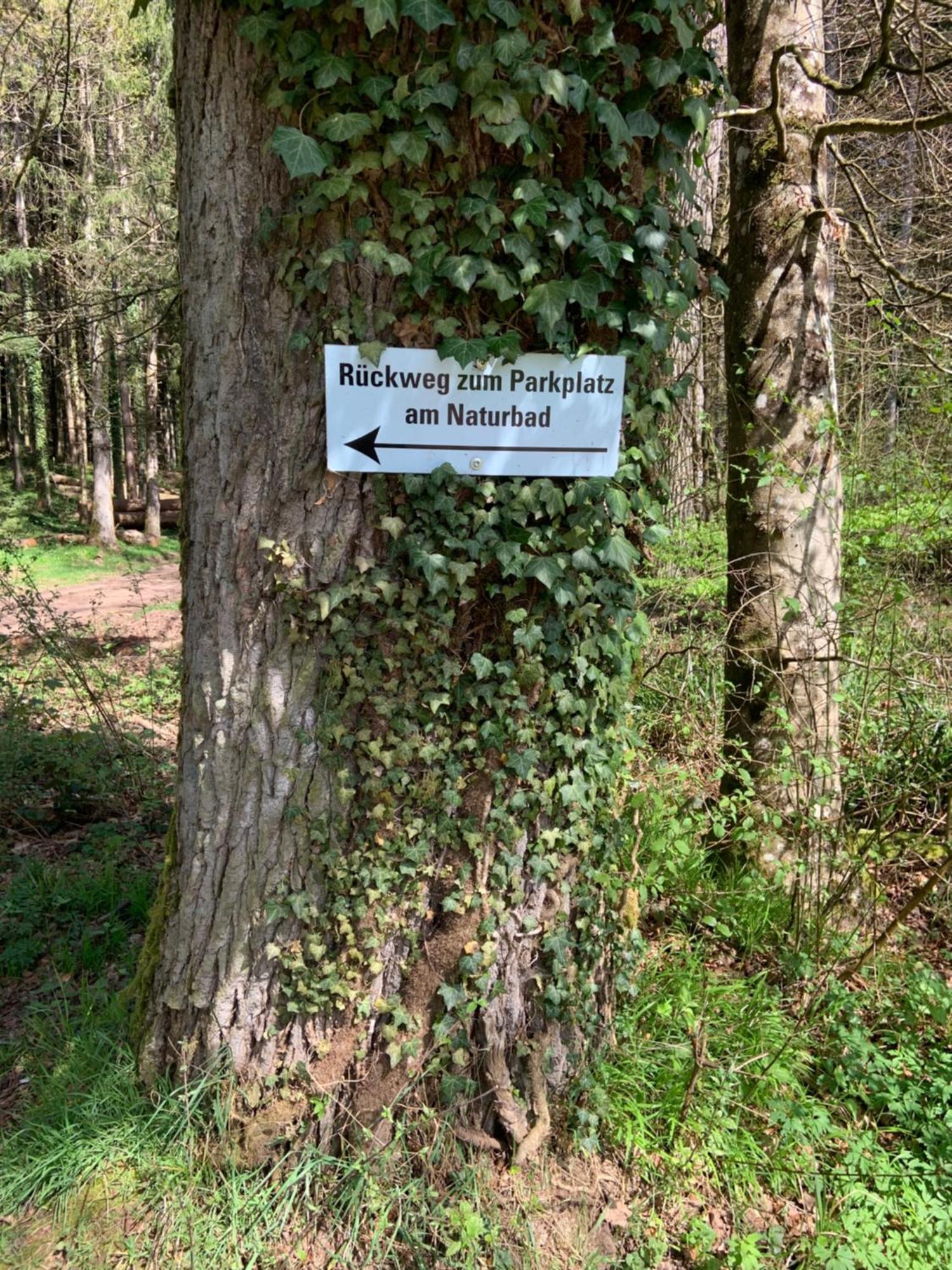 Appartement Sulzbachtal In Lahr, Naehe Europapark, Naehe Rulantica 拉尔 外观 照片