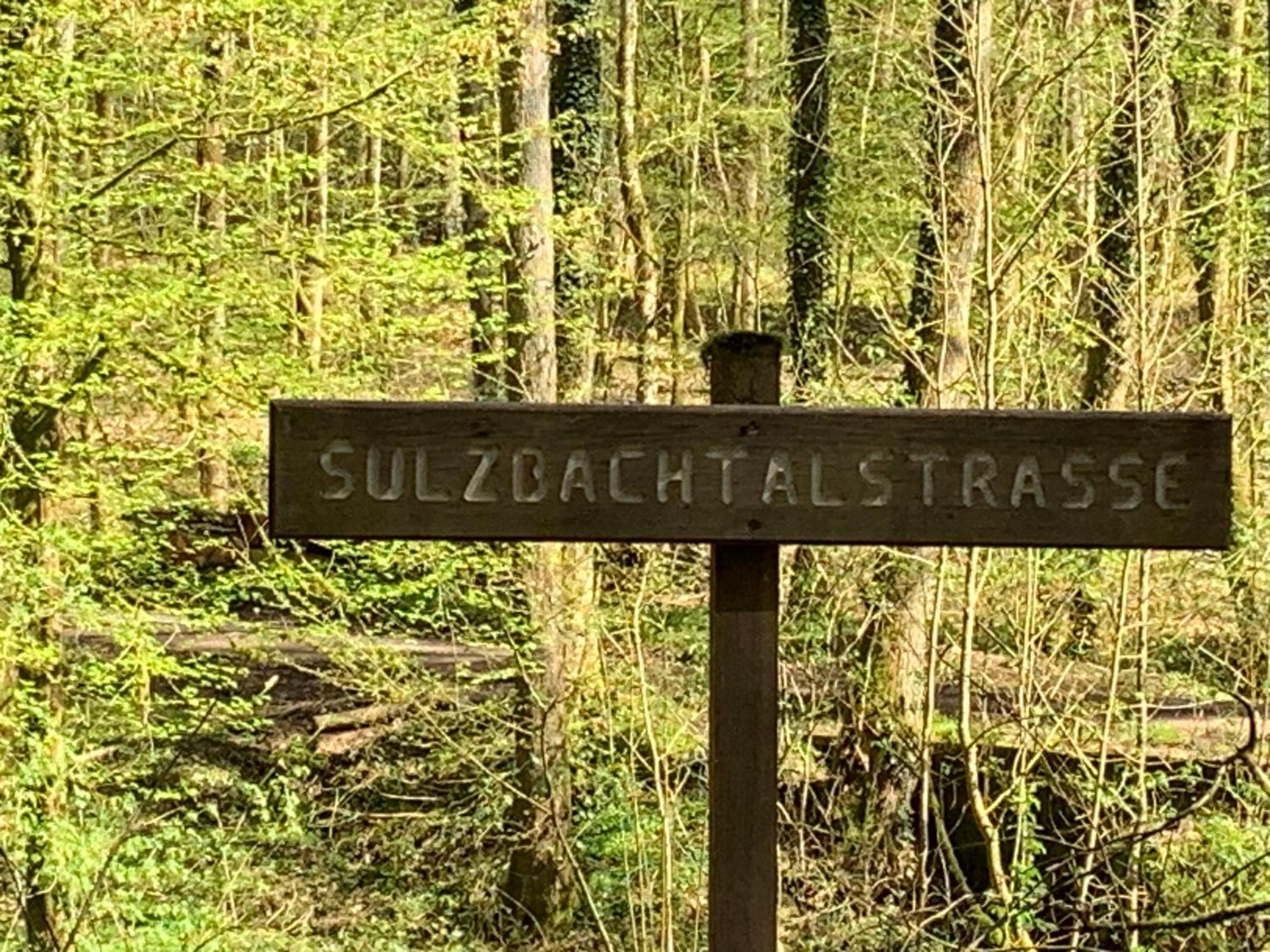 Appartement Sulzbachtal In Lahr, Naehe Europapark, Naehe Rulantica 拉尔 外观 照片